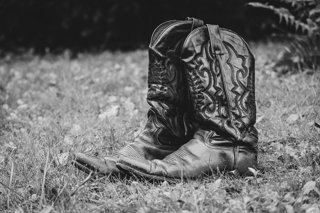7 for All Mankind Western Jeans: Our Honest Review